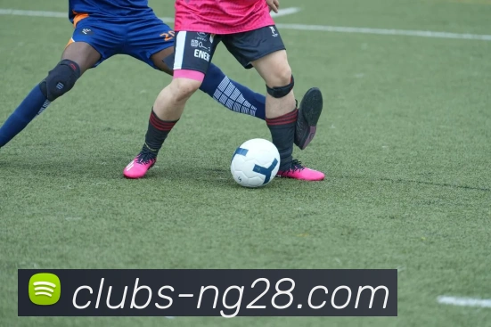 NG体育官网平台生态图