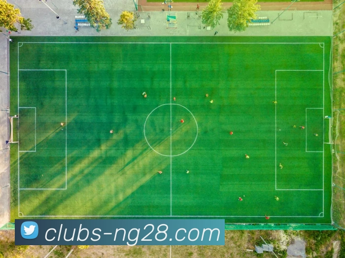 NG体育官网APP 封面图