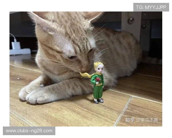 小橘猫和奶奶一起解谜探险如何巧妙进入车库的温馨故事